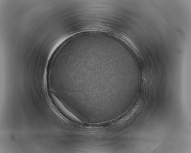 X0000112950788200909071114