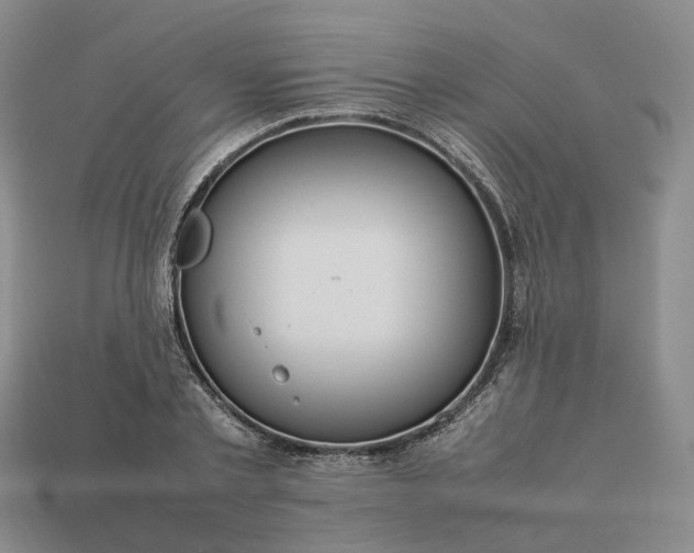 X0000112950789200909071114