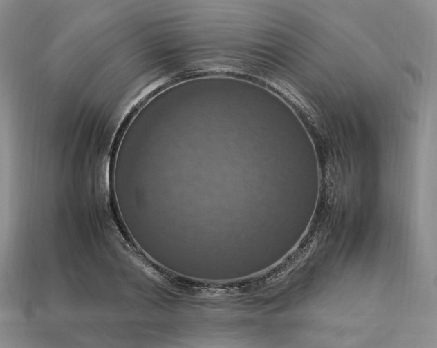 X0000112950790200909071114