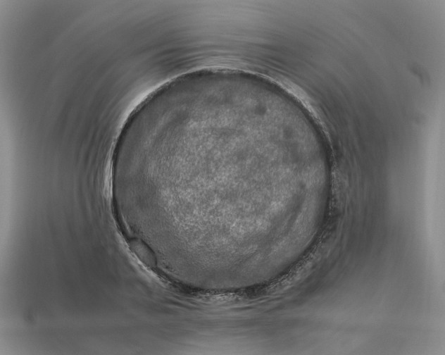 X0000112950791200909071114