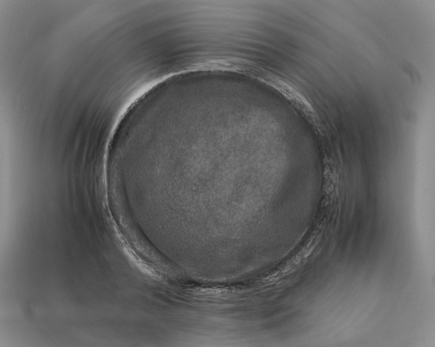 X0000112950792200909071114