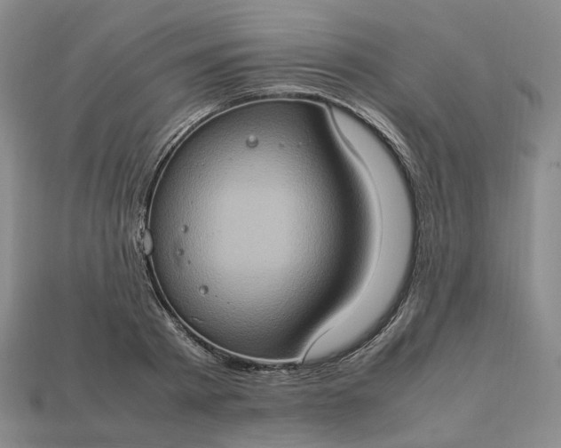 X0000112950793200909071114