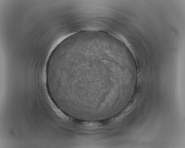 X0000112950795200909071114