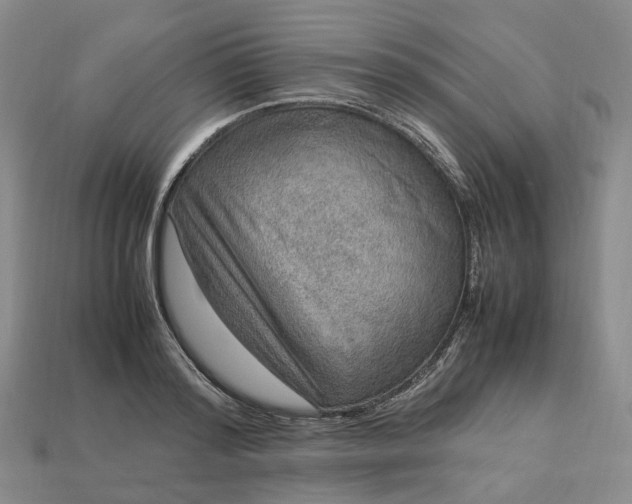 X0000112950796200909071114