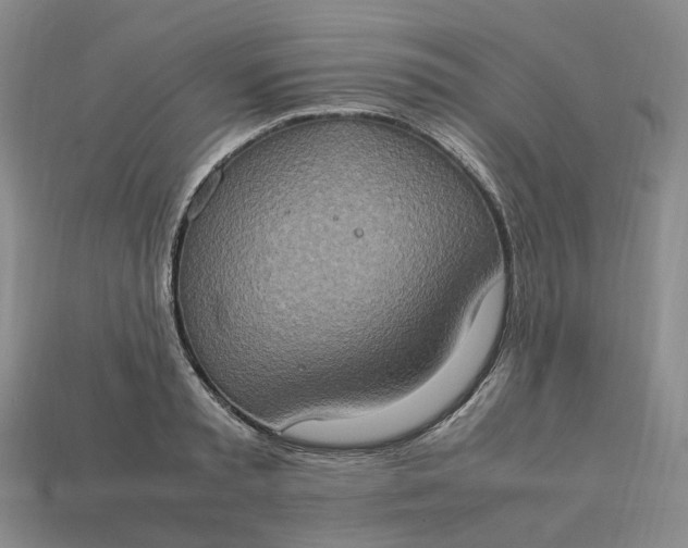 X0000112950797200909071114