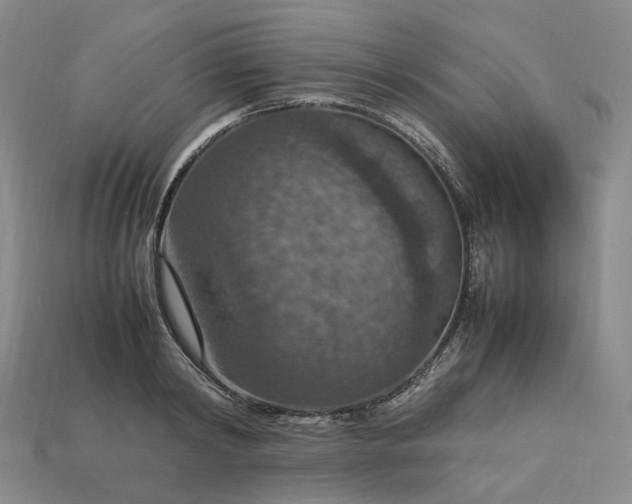 X0000112950798200909071114