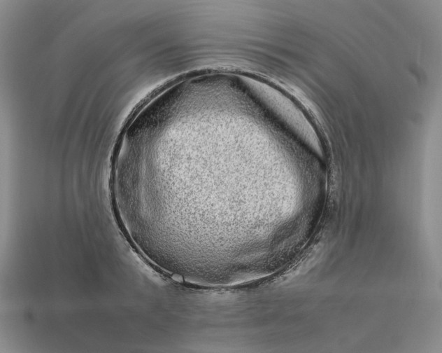 X0000112950799200909071114