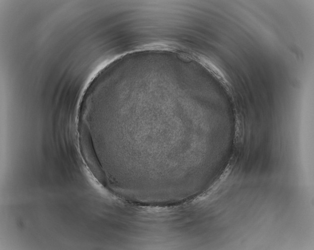 X0000112950800200909071114