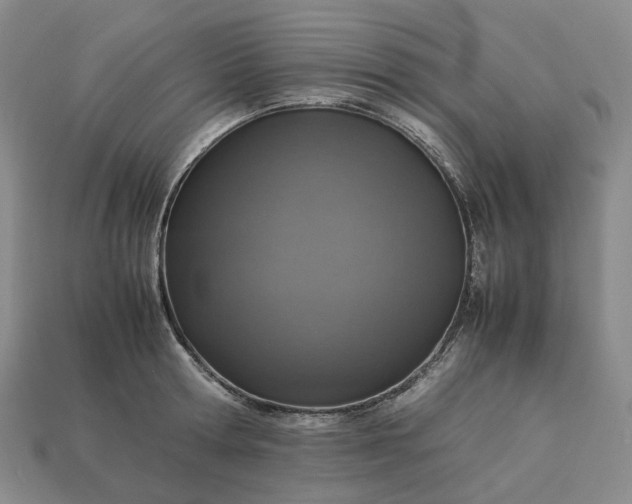 X0000112950802200909071114