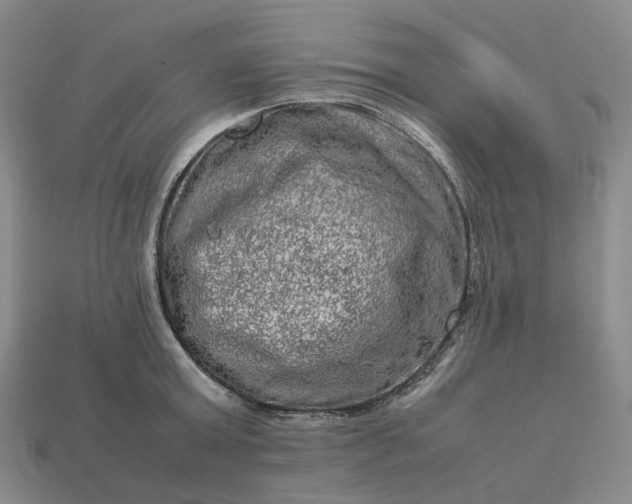 X0000112950803200909071114