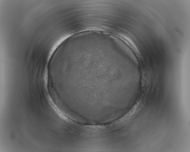 X0000112950804200909071114