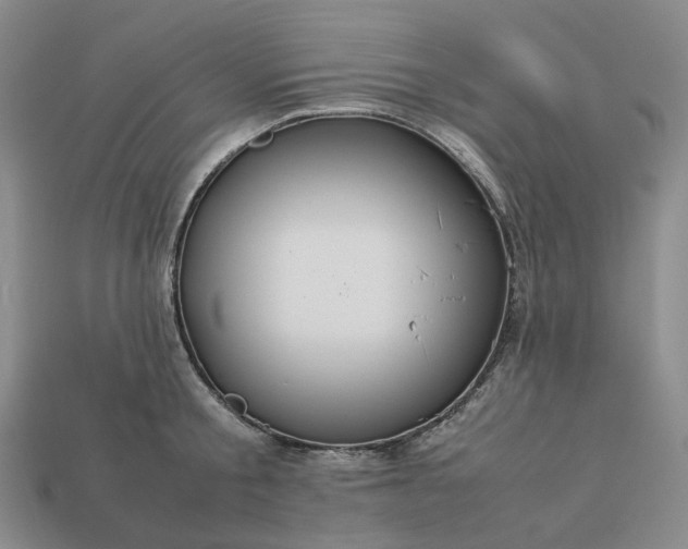 X0000112950805200909071114