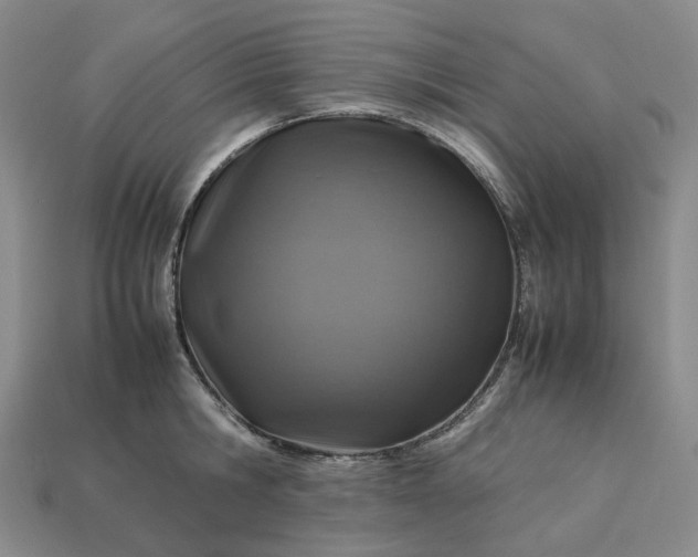 X0000112950806200909071114