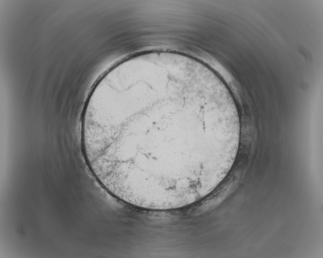 X0000112950807200909071114