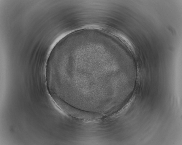 X0000112950808200909071114