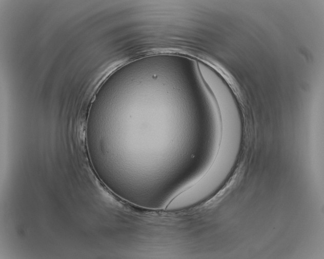 X0000112950809200909071114