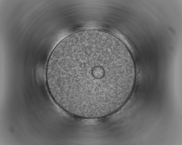 X0000112950810200909071114