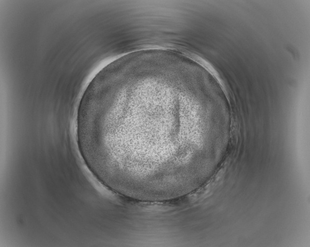 X0000112950811200909071114