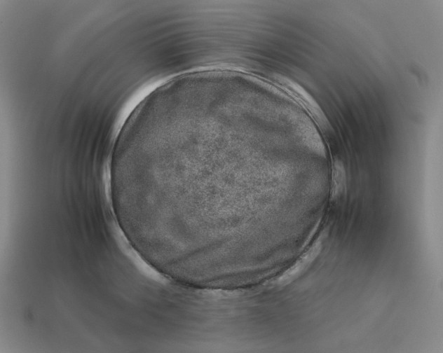 X0000112950812200909071114