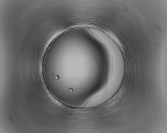 X0000112950813200909071114