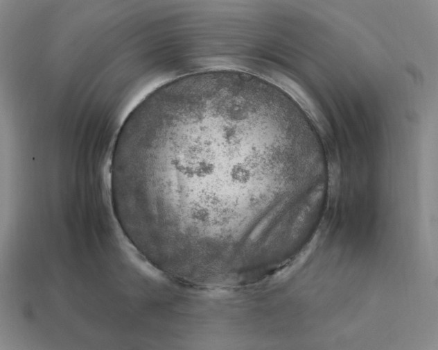 X0000112950814200909071114