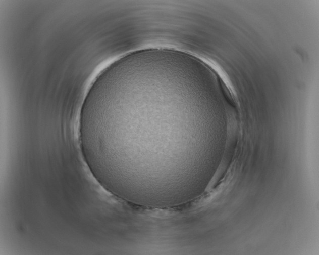 X0000112950815200909071114