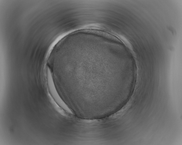 X0000112950816200909071114