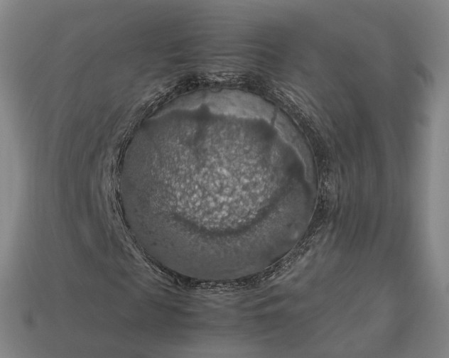 X0000112950817200909071113