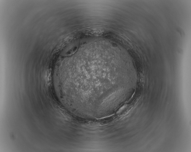 X0000112950818200909071113