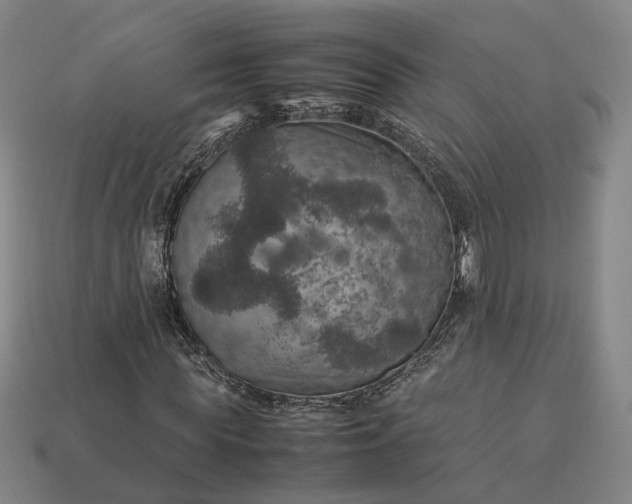 X0000112950819200909071113