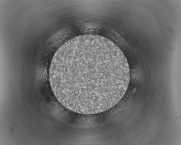 X0000112950820200909071113