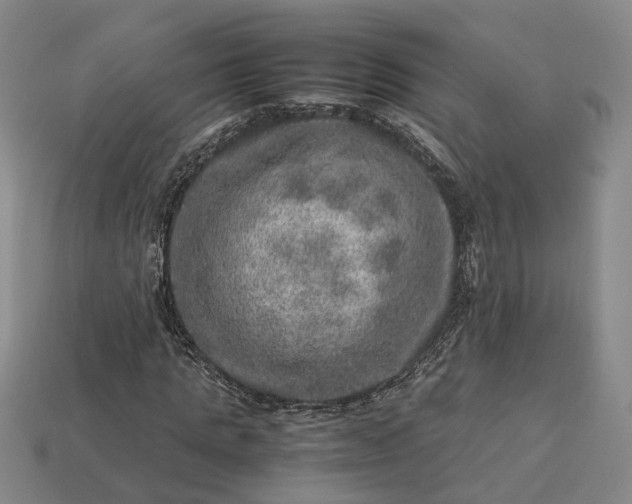 X0000112950821200909071113