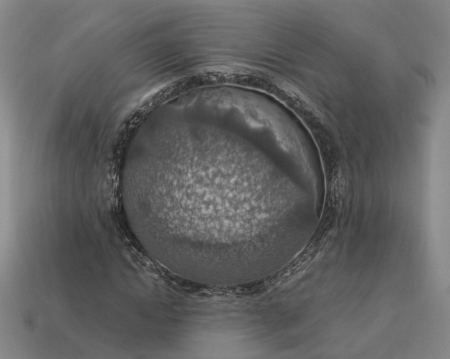 X0000112950822200909071113