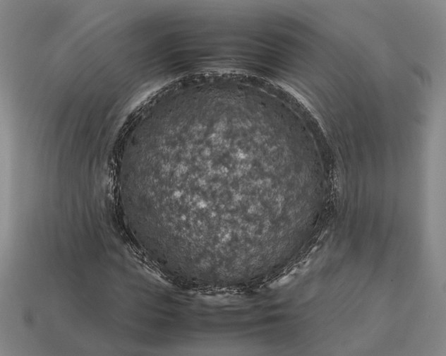 X0000112950823200909071113