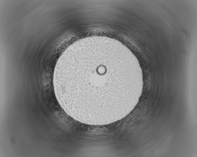 X0000112950824200909071113