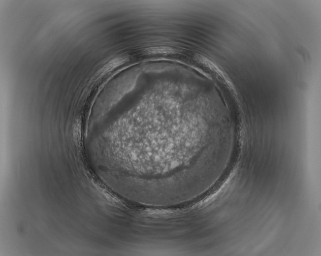 X0000112950825200909071113