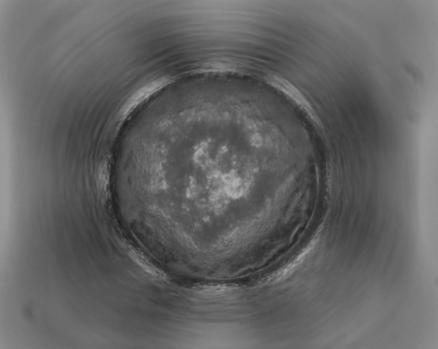 X0000112950826200909071113