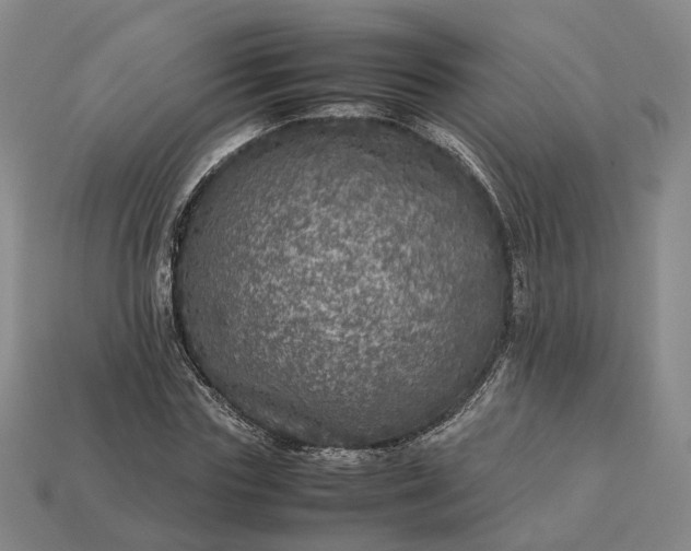 X0000112950827200909071113