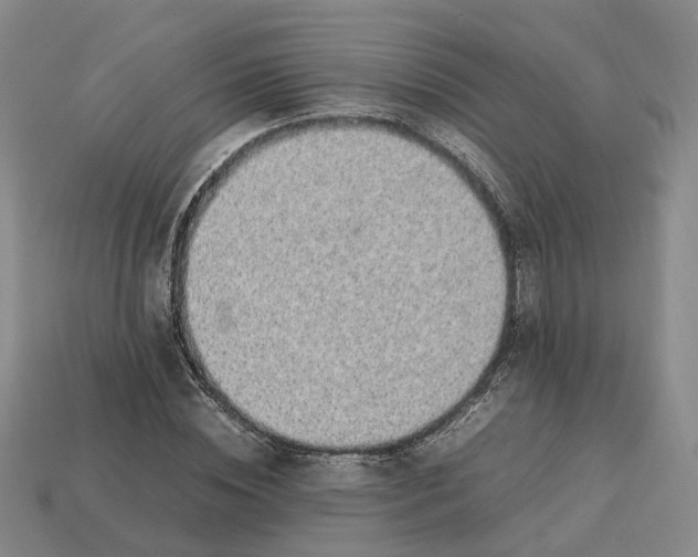 X0000112950828200909071113