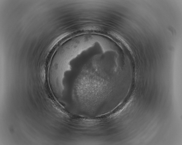 X0000112950829200909071113