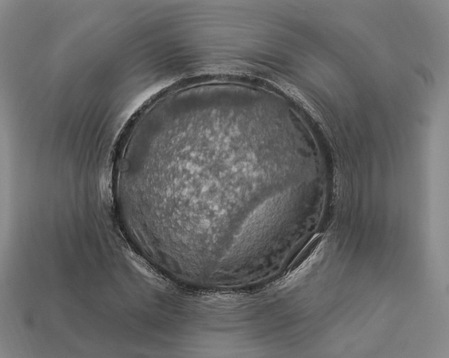 X0000112950830200909071114