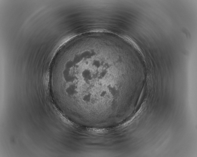 X0000112950831200909071114