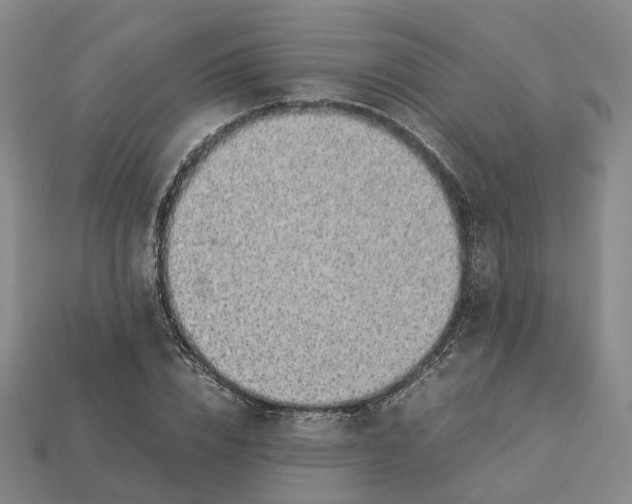 X0000112950832200909071114