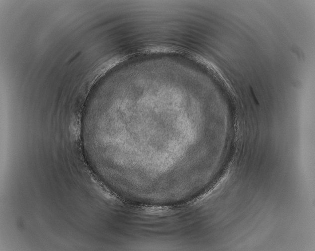 X0000112950833200909071114