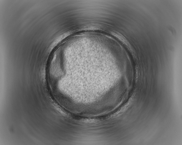 X0000112950834200909071114