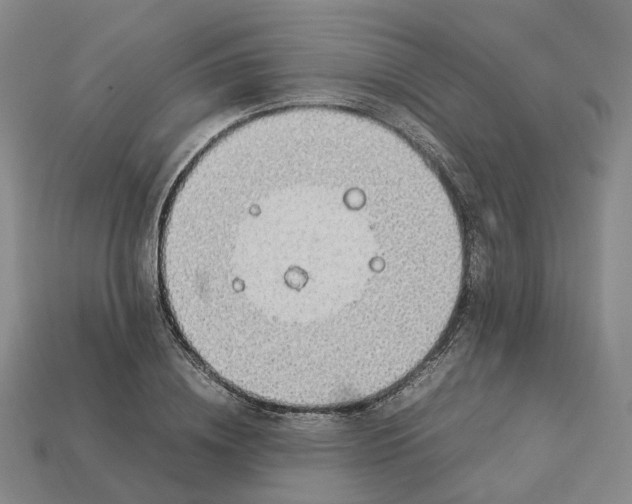 X0000112950836200909071114