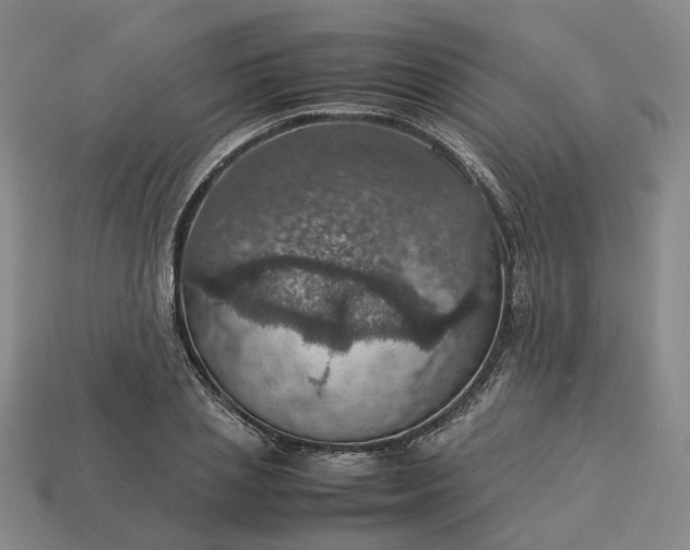 X0000112950837200909071114