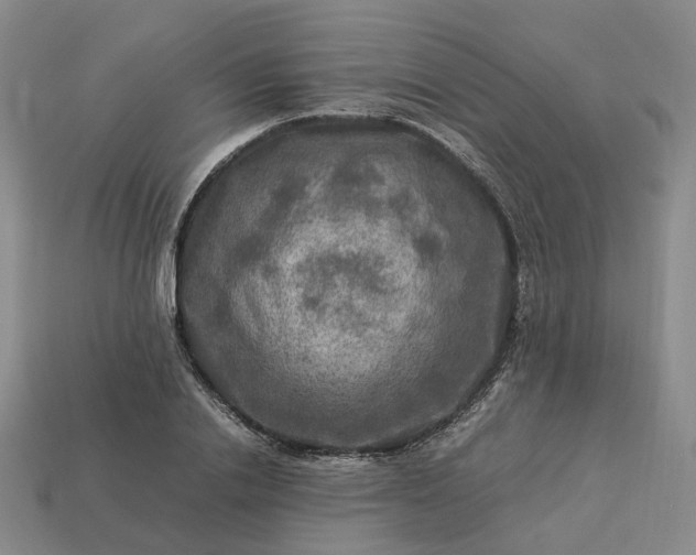 X0000112950838200909071114