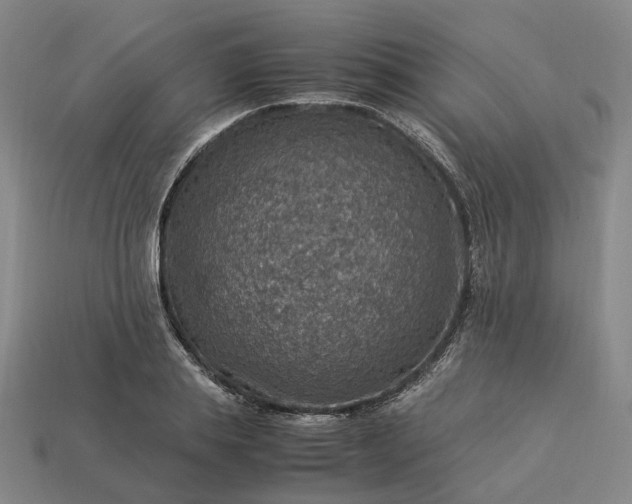 X0000112950839200909071114