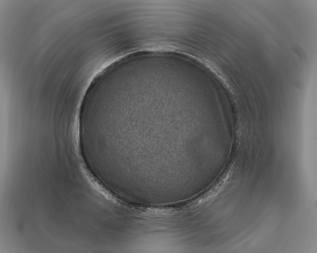 X0000112950840200909071114